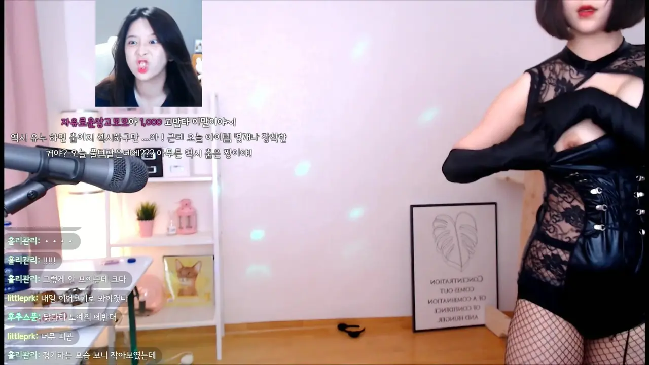 Korean — Twitch streamer Nipple Slip Accident sensual video