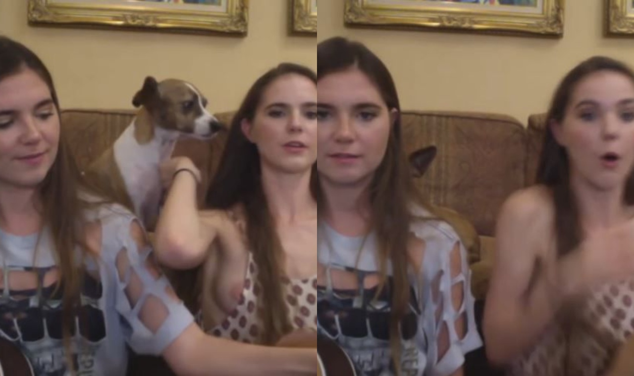 Nina Nelson Nipple Slip — YouTube Live transmisión